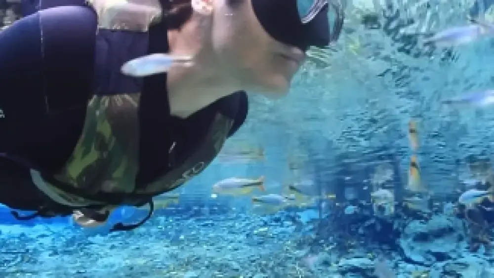 Bruno Gagliasso visita Bonito e promete voltar com a família