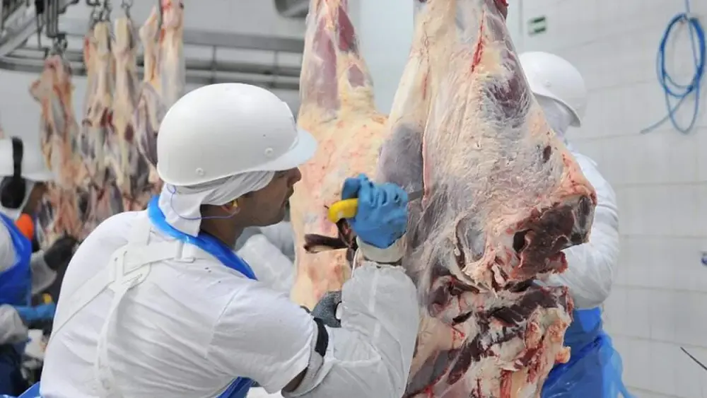 Frigoríficos de MS dobram empregos e exportações crescem 12 vezes