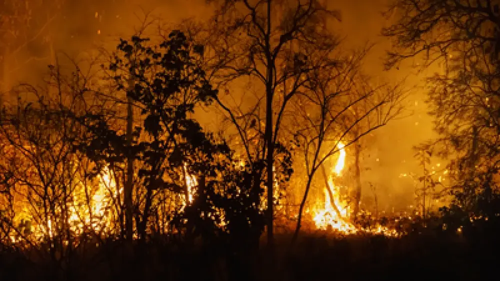 TRT-24 mantém condenação da Arauco por expor trabalhador a incêndios