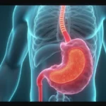 Dr. Luiz Teixeira da Silva Júnior: como funciona o transplante de órgãos