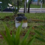 Botijão pega fogo em barraca e assusta antes do Arraial